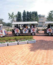 Heavy Duty Paver